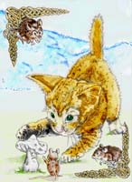 Cat and Mushroom