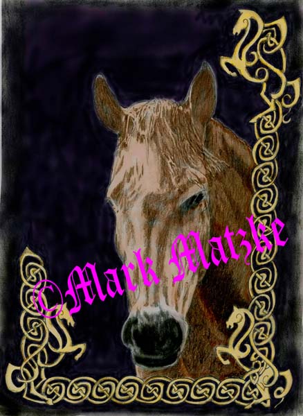 Celic Horse in Color