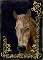 Celtic Horse Color