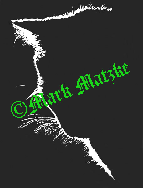 Cat Silhouette 1