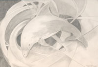 Dolphin 1