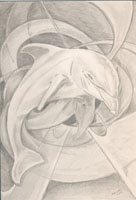 Dolphin 2