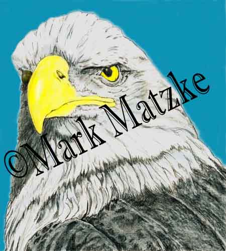 Color Eagle
