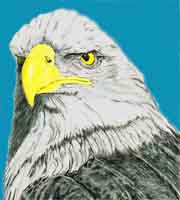 Bird 1