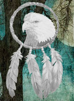 Eagle in Dreamcatcher