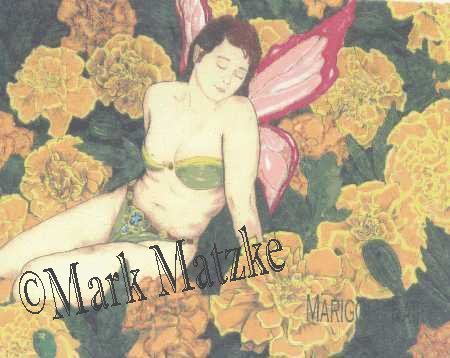 Marigold