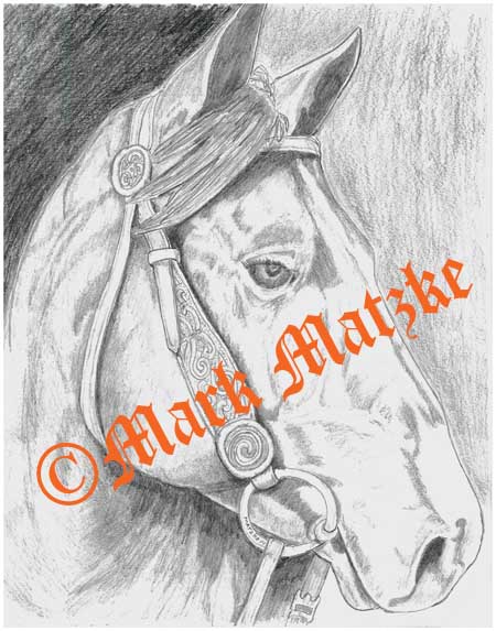 Quarter Horse