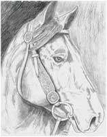 Horse