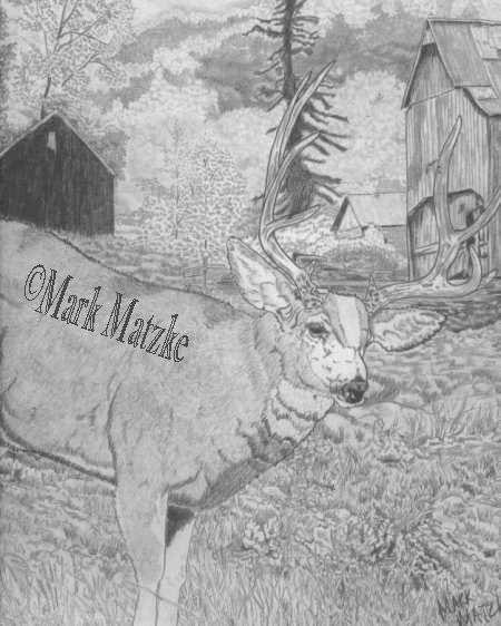 Mountain Mule