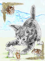 Cat and Mushroom