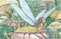Mushroom Fairy