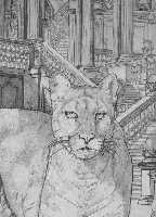 Pet 2