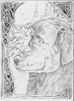 Puppy 2