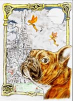 Puppy 3