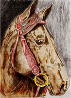 Quarter Horse Color