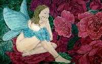 Rose Fairy