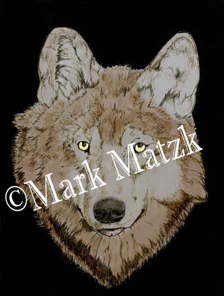 Color Wolf