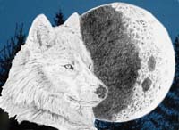 Wolf Moon in Color