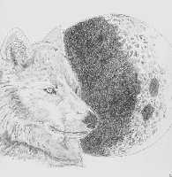 Wolf Moon